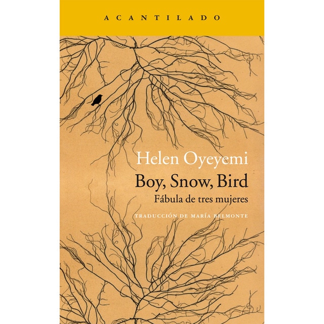 Imagen 0 de Boy, Snow, Bird  (Bolsillo)