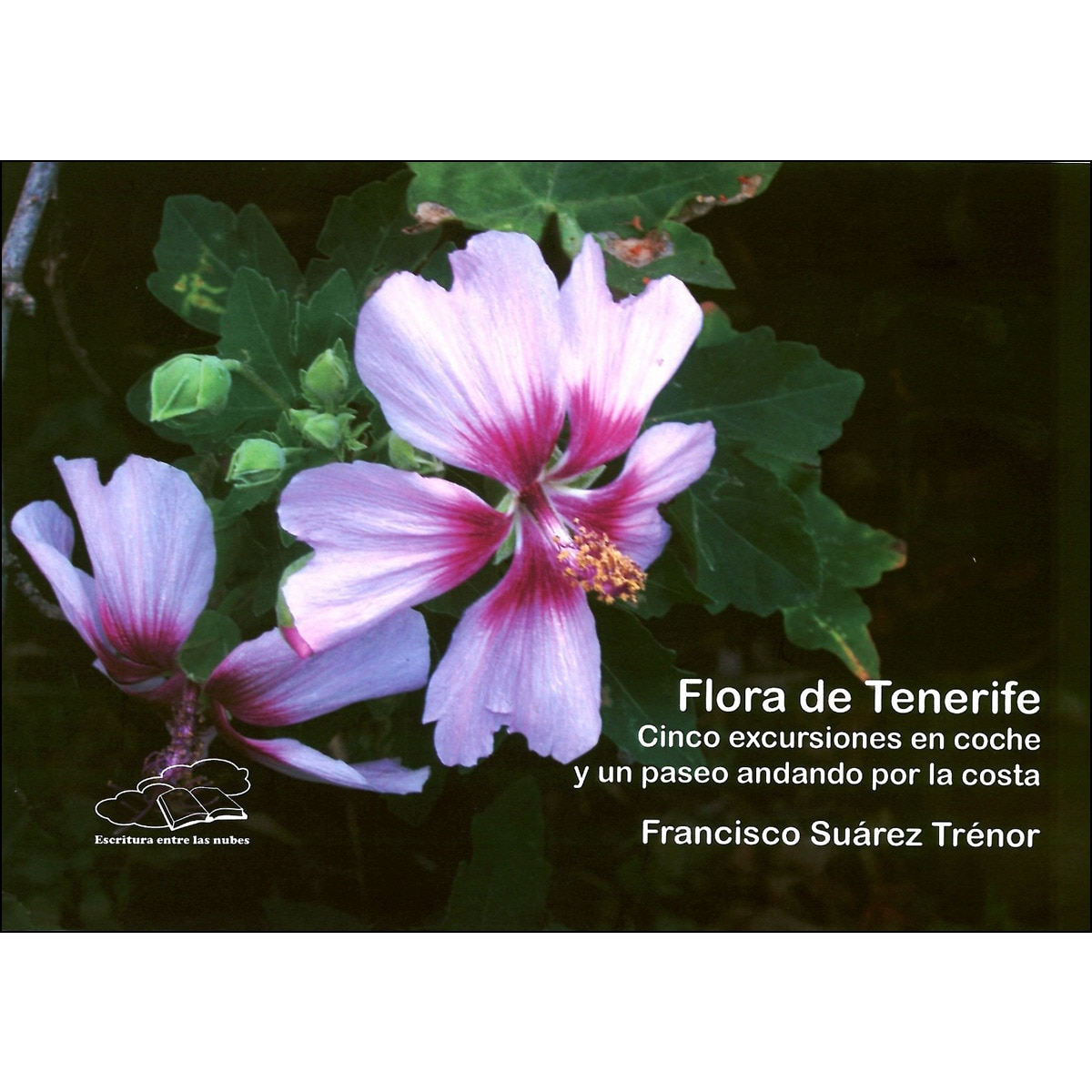 Imagem 0 de Flora de tenerife (Tapa blanda)