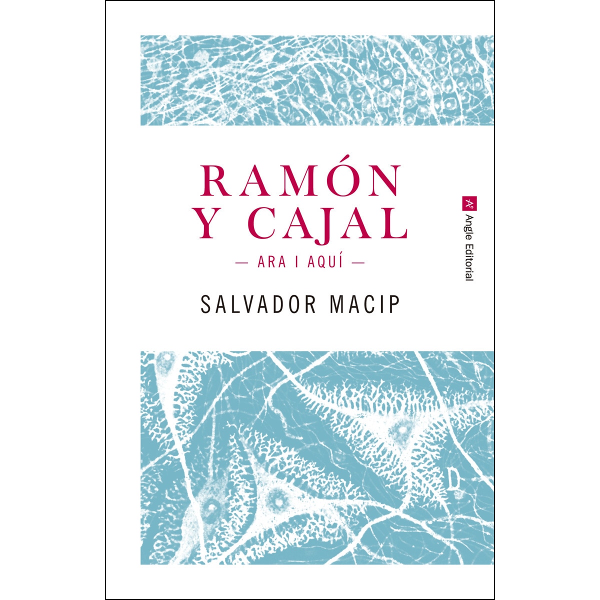 Ramón y cajal. Ara i aquí(Tapa blanda) 1