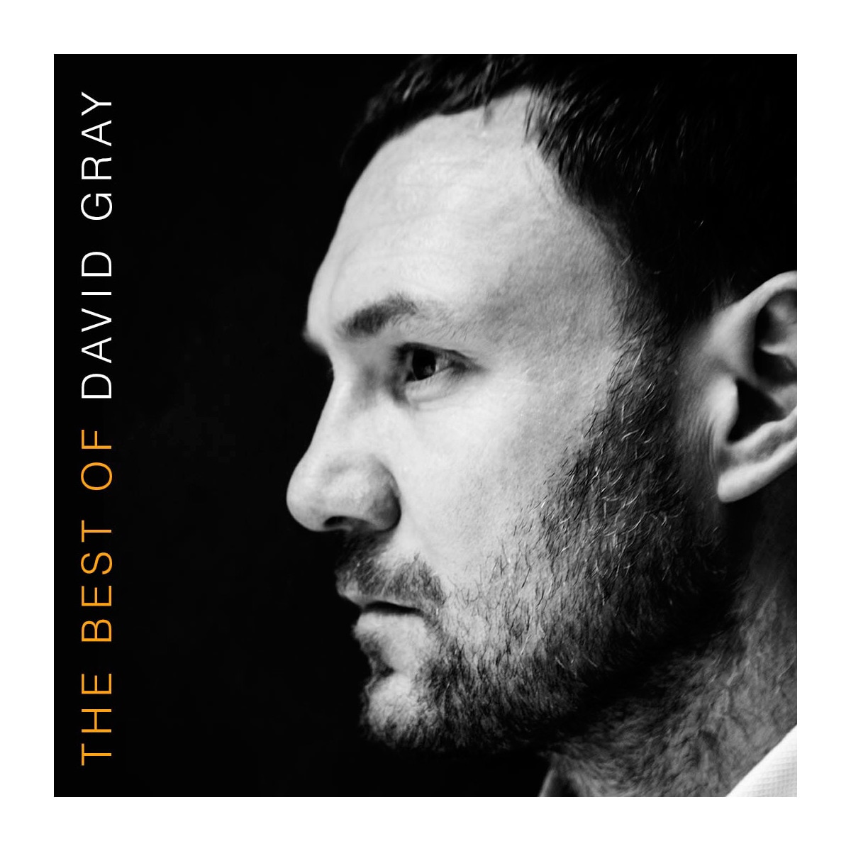 Imagen 0 de The Best Of David Gray (CD)