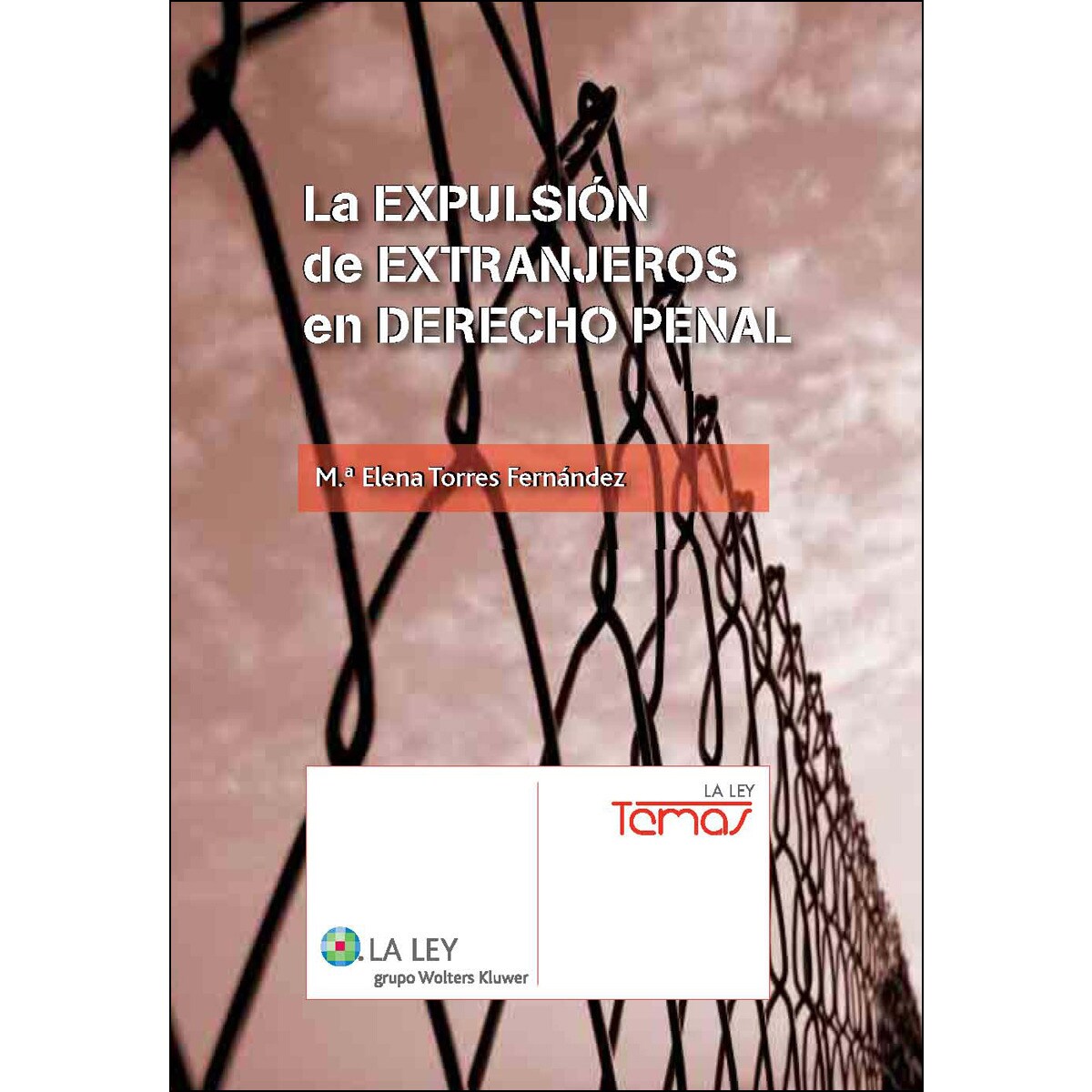 La expulsión de extranjeros en Derecho penal (Capa mole com abas) 1