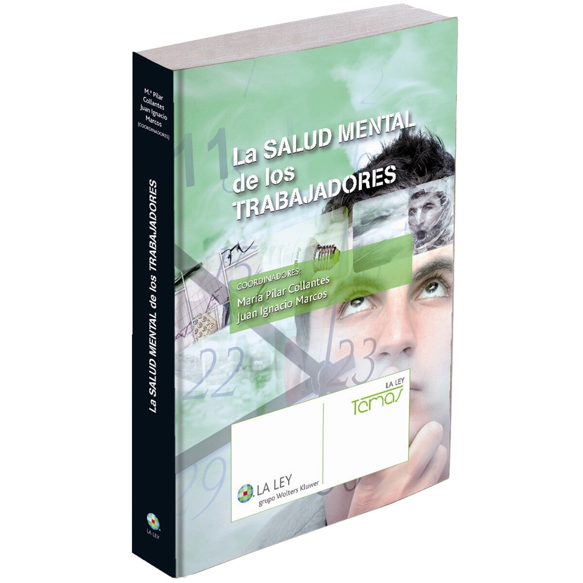 La salud mental de los trabajadores (Capa mole com abas) 1