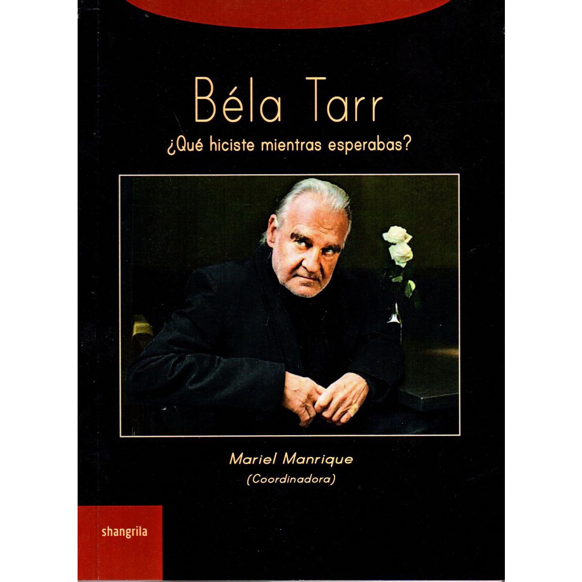 Imagem 0 de Bela Tarr ¿Qué Hiciste Mientras Esperabas?