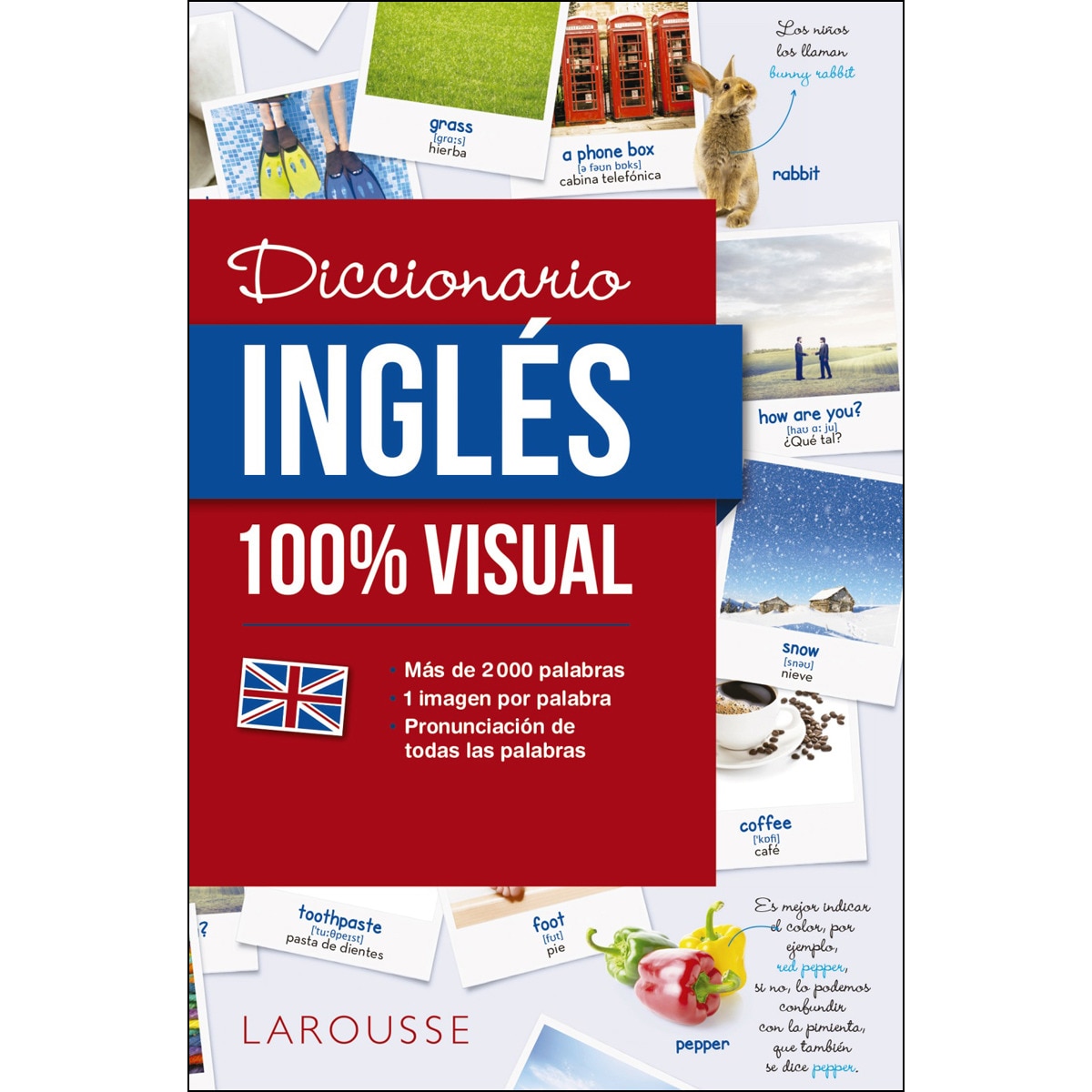 Imagem 0 de Diccionario de inglés 100% Visual (Capa mole com abas)