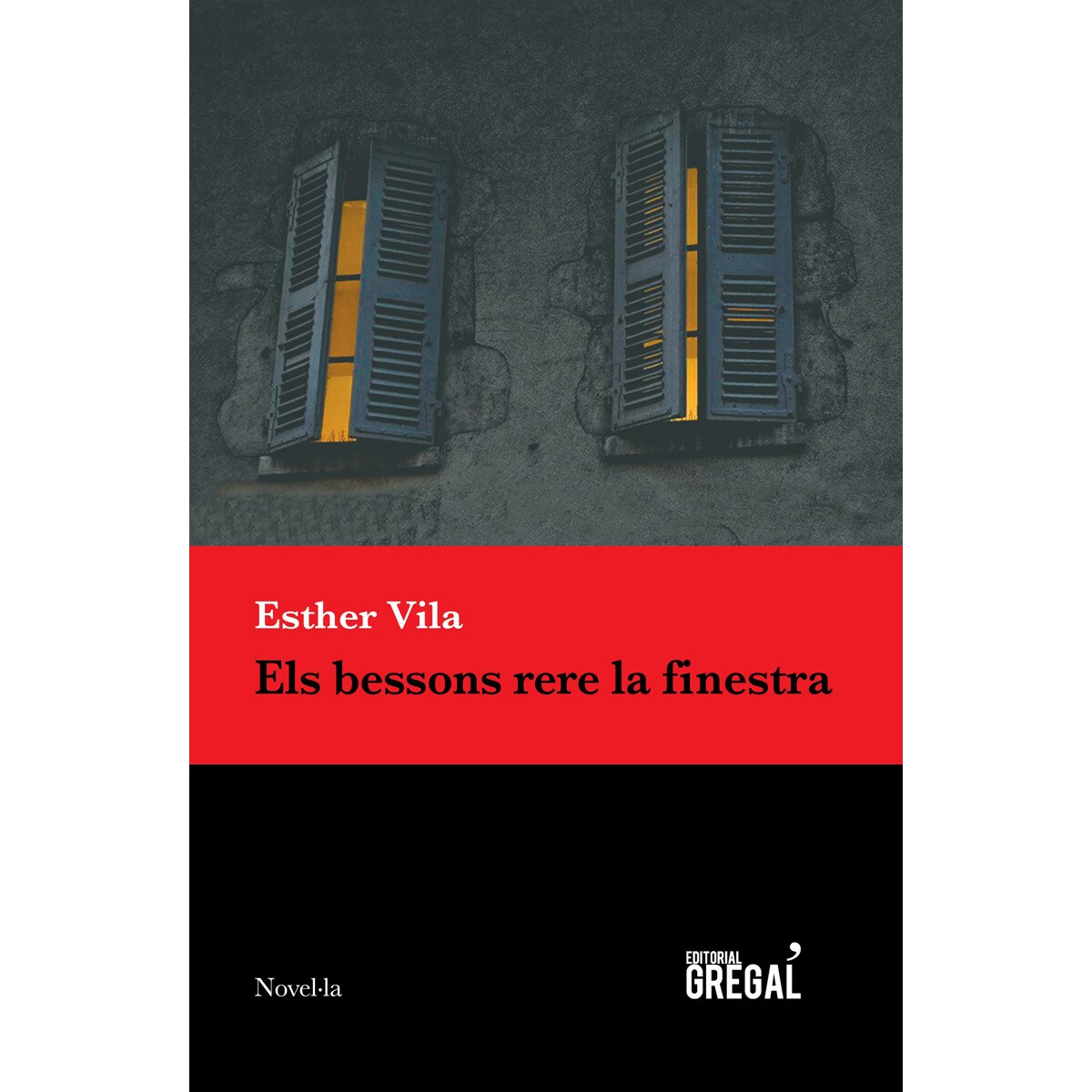 Els bessons rere la finestra(Tapa blanda) 1