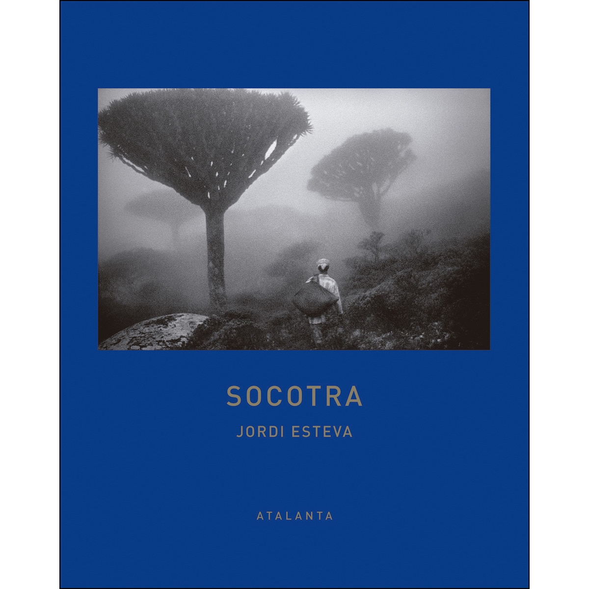 Socotra 1
