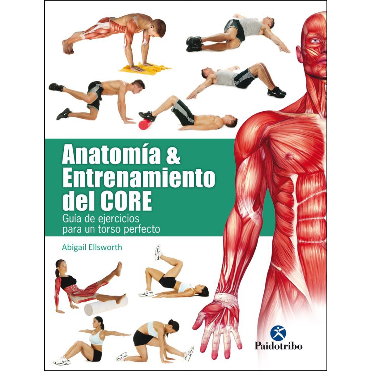 Anatomía & entrenamiento del CORE (color) (Capa mole) 1