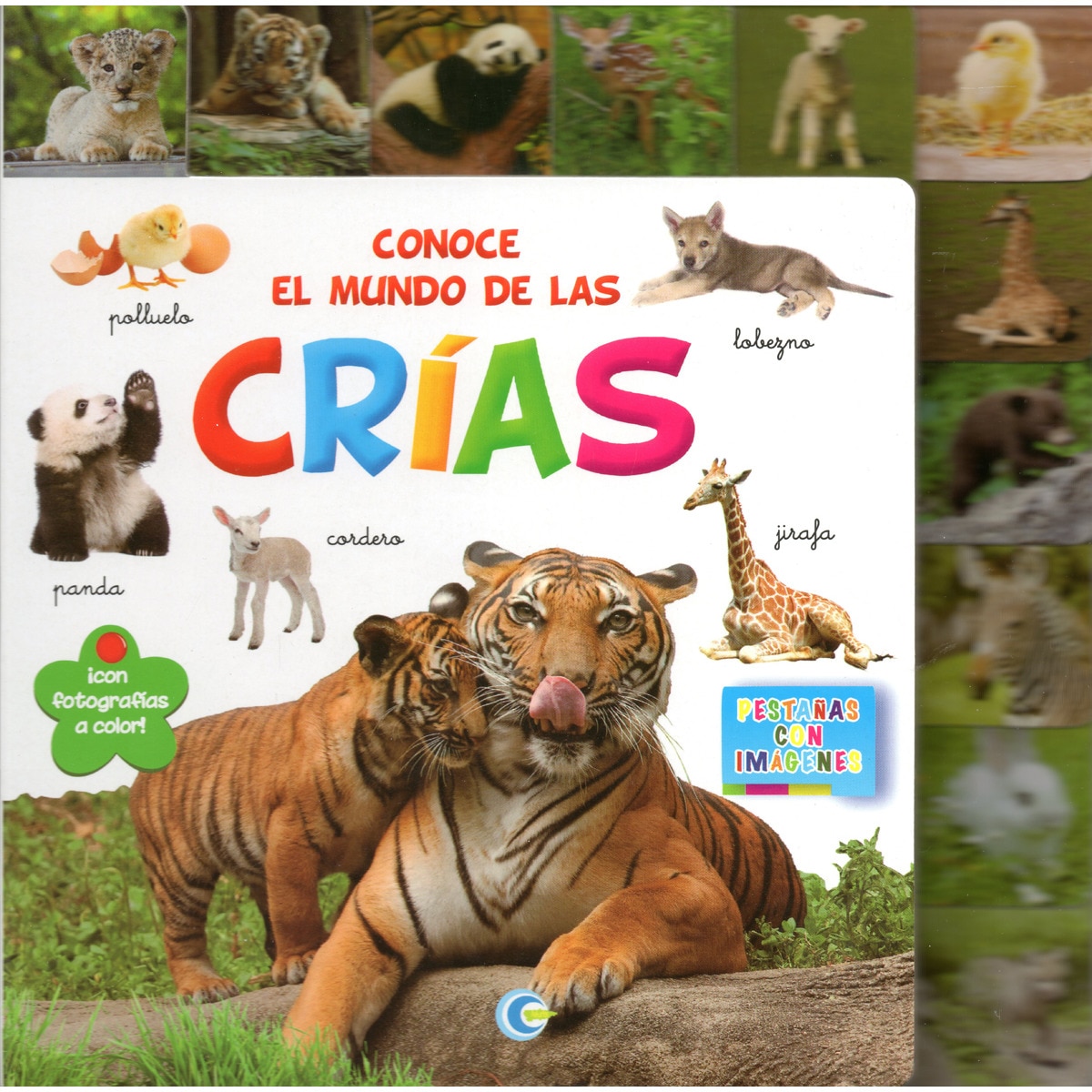 Imagem 0 de CONOCE EL MUNDO DE LAS CRÍAS (Capa dura)