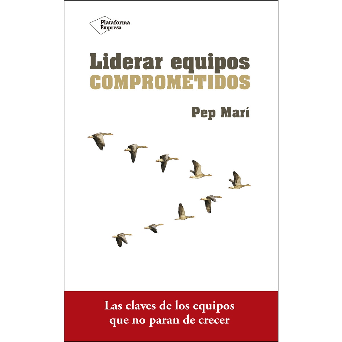 Imagem 0 de Liderar Equipos Comprometidos