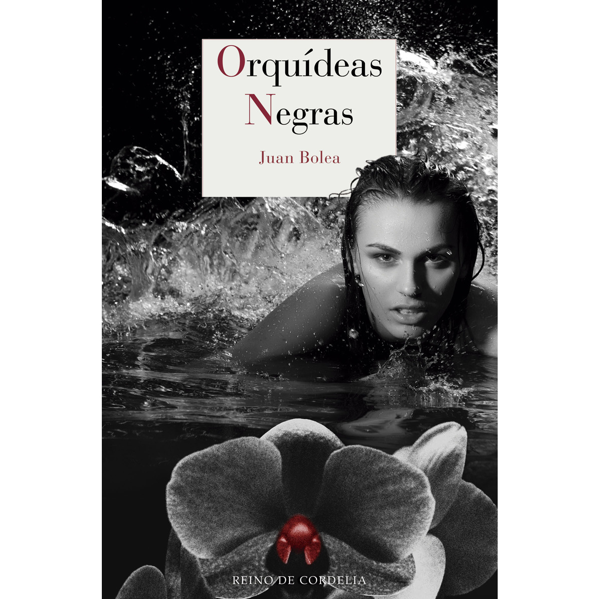 Imagem 0 de Orquídeas negras