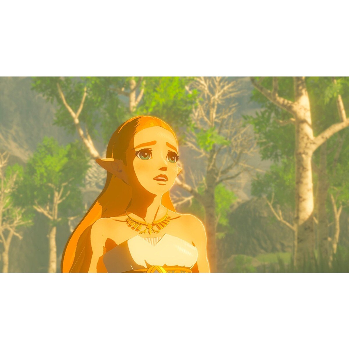 The Legend of Zelda: Breath of the Wild - Nintendo Switch 2