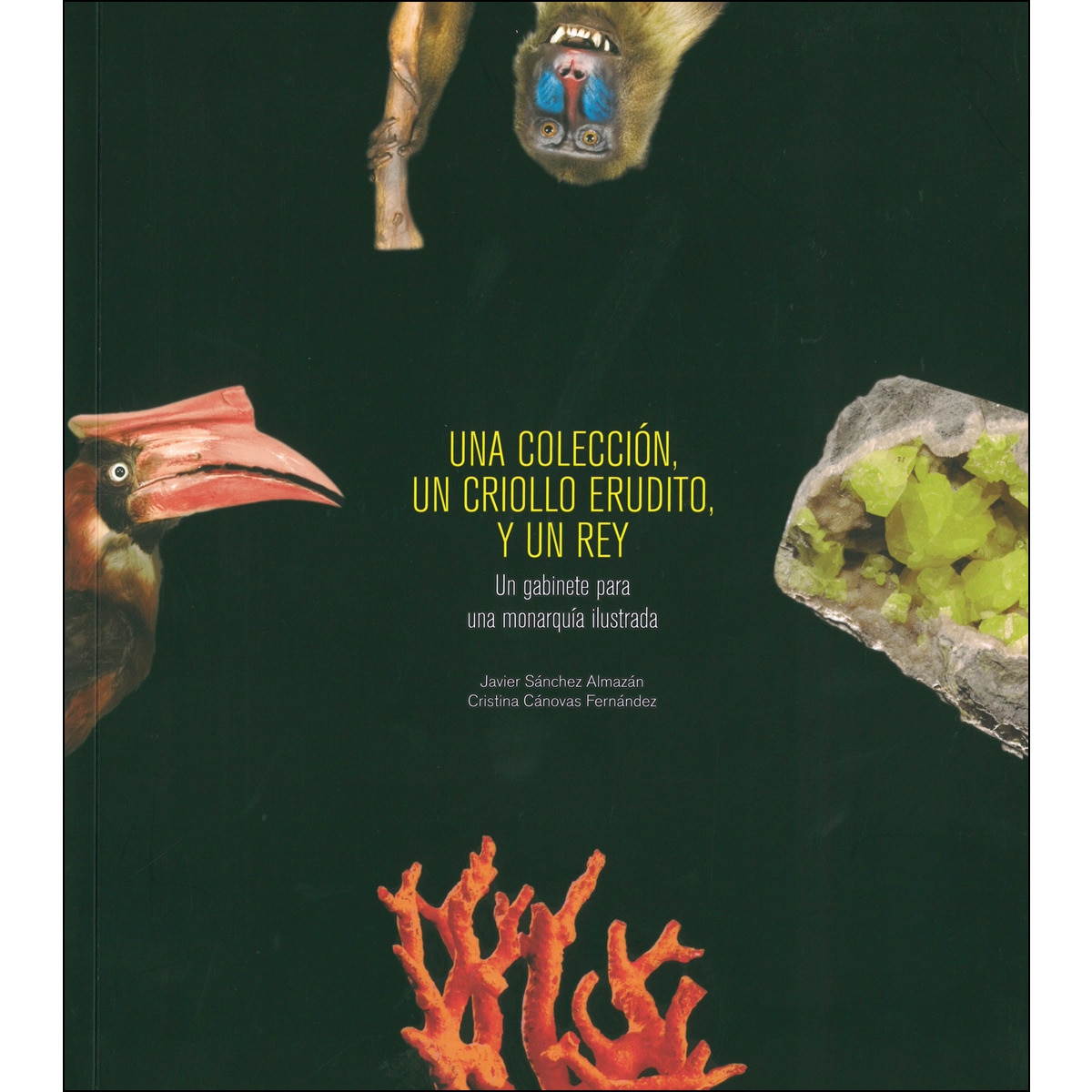 Imagem 0 de Una colección, un criollo erudito y un rey : un gabinete para una monarquía ilustrada: Un gabinete para una monarquía ilustrada (Capa mole com abas)