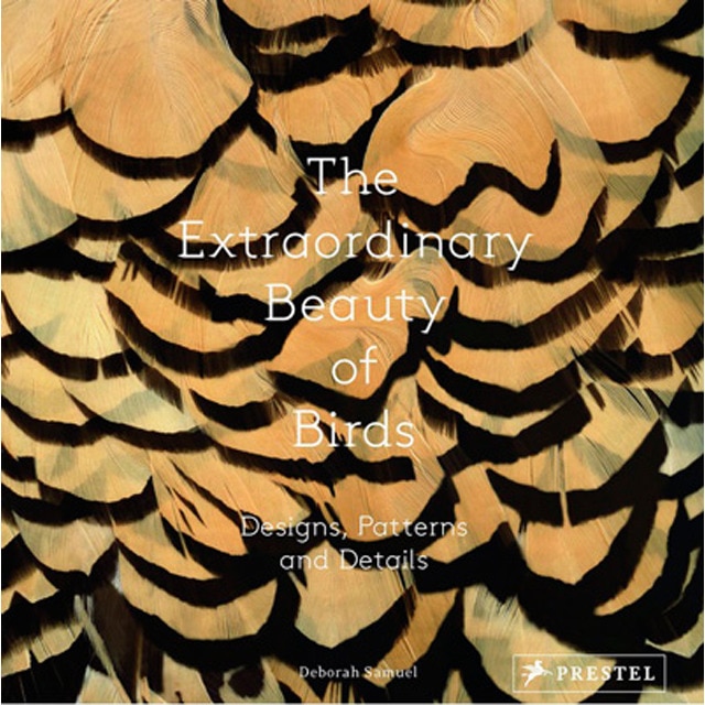 The Extraordinary Beauty Of Birds: Designs Pattern 1