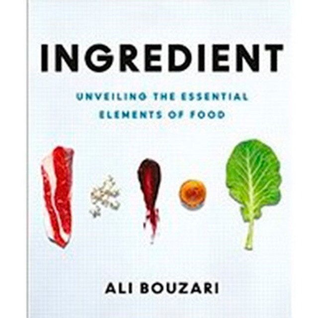 Ingredient: Unveiling The Essential Elements Of Fo 1