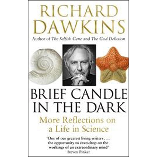 Imagen 0 de Brief candle in the dark