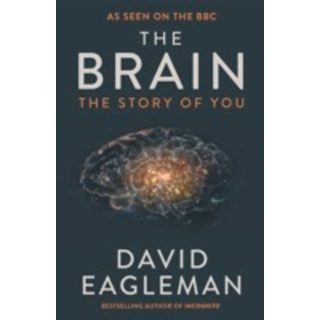 The Brain 1