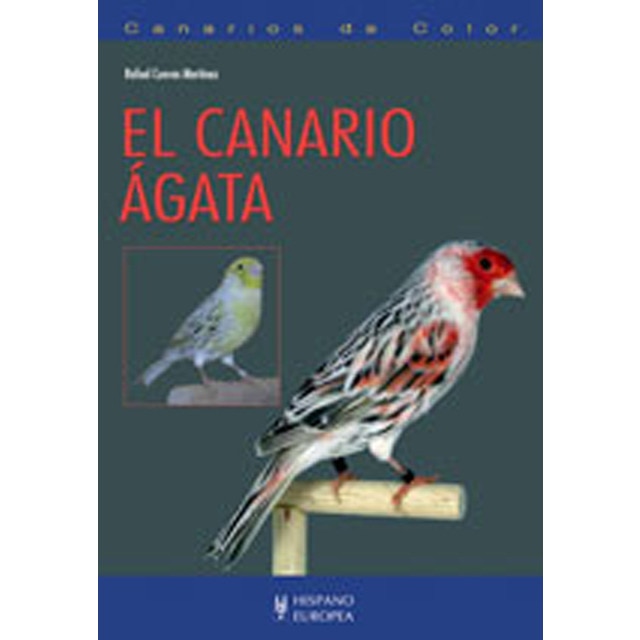 El canario ágata(Tapa blanda) 1