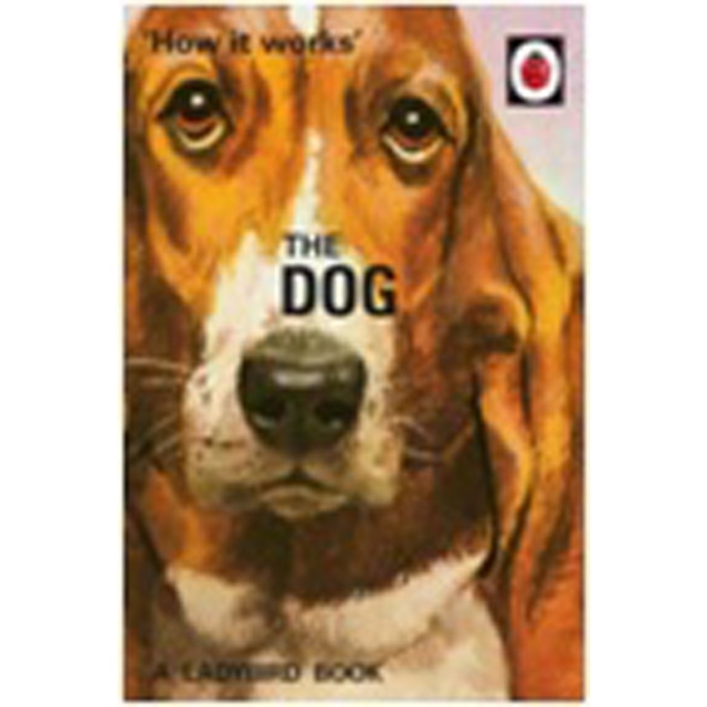 How It Works: The Dog 1