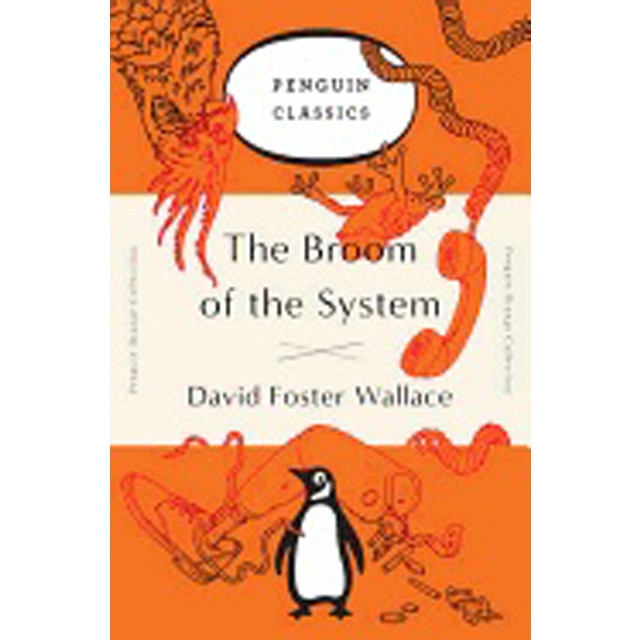 The Broom Of The System 1