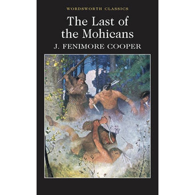 Last Of The Mohicans 1