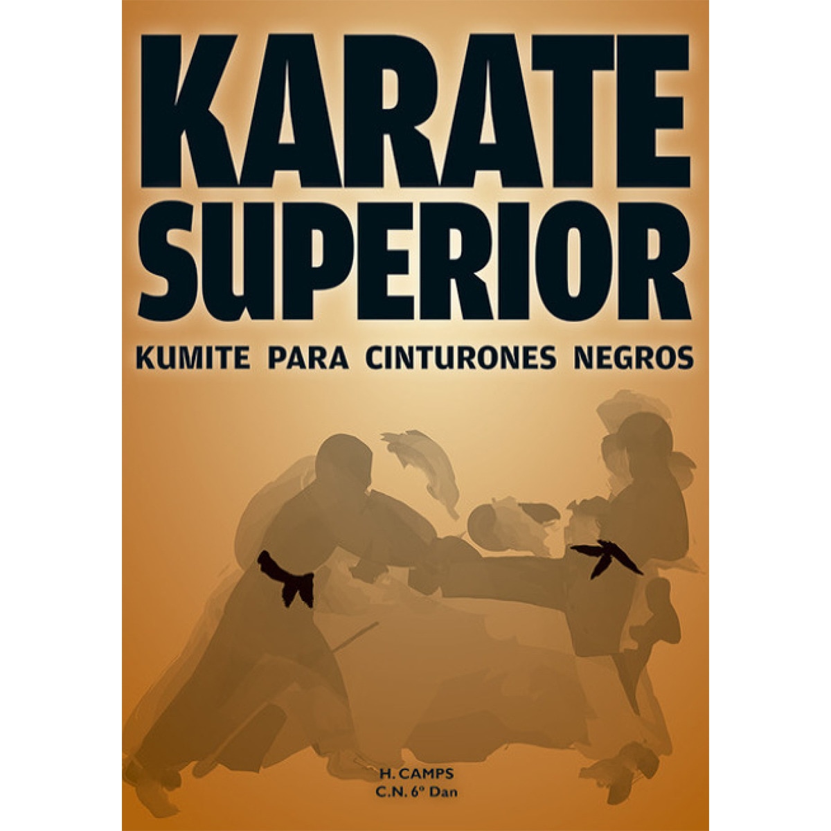 Karate Superior 1