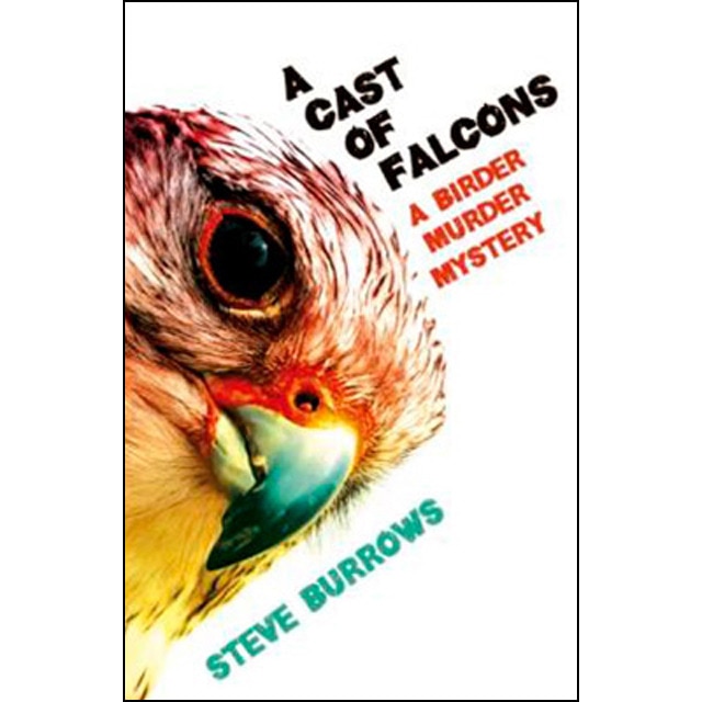 A Cast Of Falcons - Book 3 1
