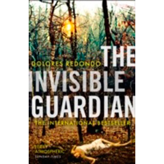 The Baztan Trilogy (1)  The Invisible Guardian 1
