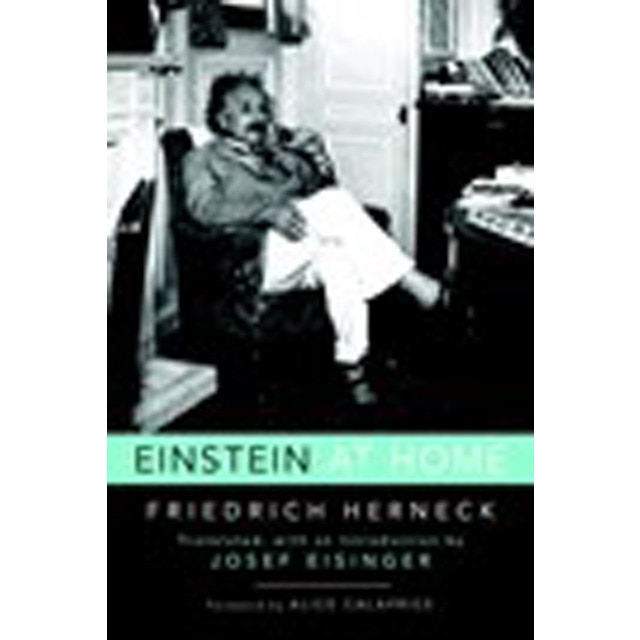 Einstein At Home 1