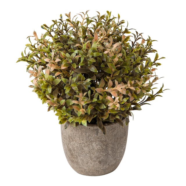 Imagen 0 de Planta artificial Boj en maceta de cemento El Corte Inglés