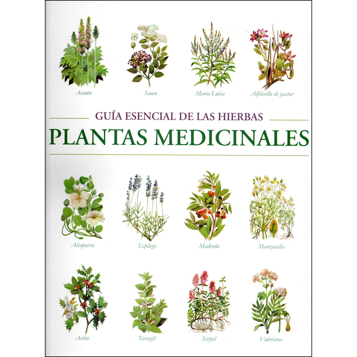 Imagem 0 de El mundo de las plantas medicinales(Tapa blanda)