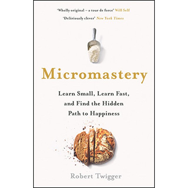 Micromastery: The Hidden Path To Success 1