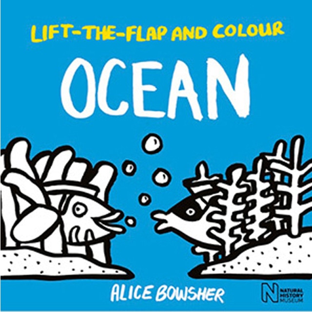 Colour lift the flaps + colour: ocean 1