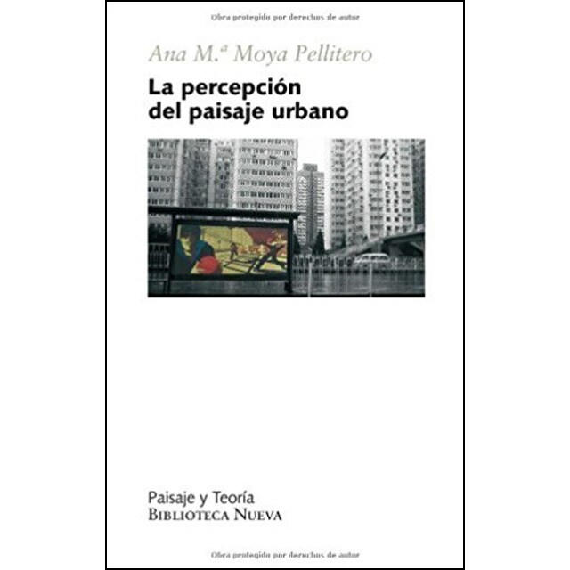 La percepción del paisaje urbano (Capa mole) 1