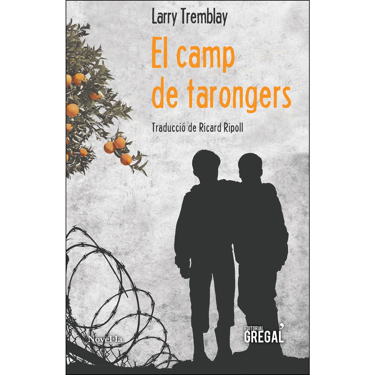 El Camp De Tarongers 1