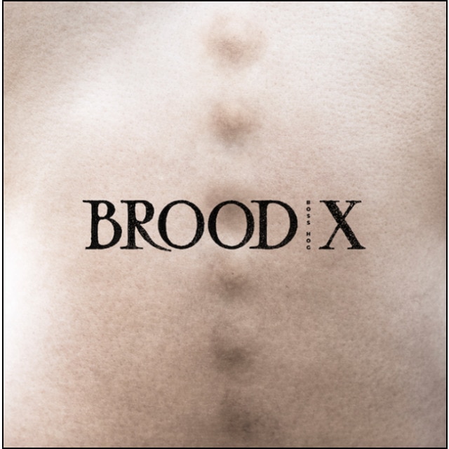 Imagen 0 de Brood X (LP-Vinilo)