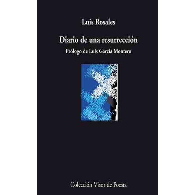 Diario de una resurrección (Capa mole com abas) 1