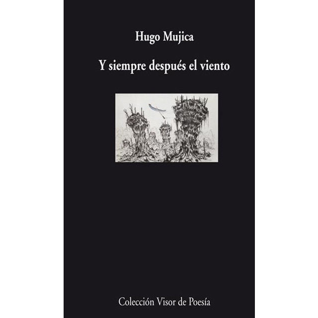 Imagen 0 de Y siempre despúes el viento  (Tapa blanda con solapas)