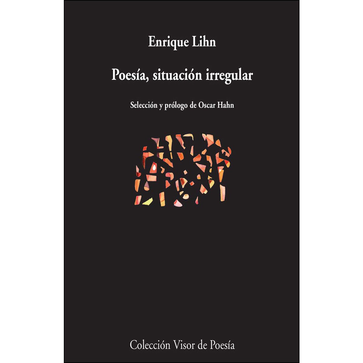 Poesía, situación irregular (Capa mole com abas) 1