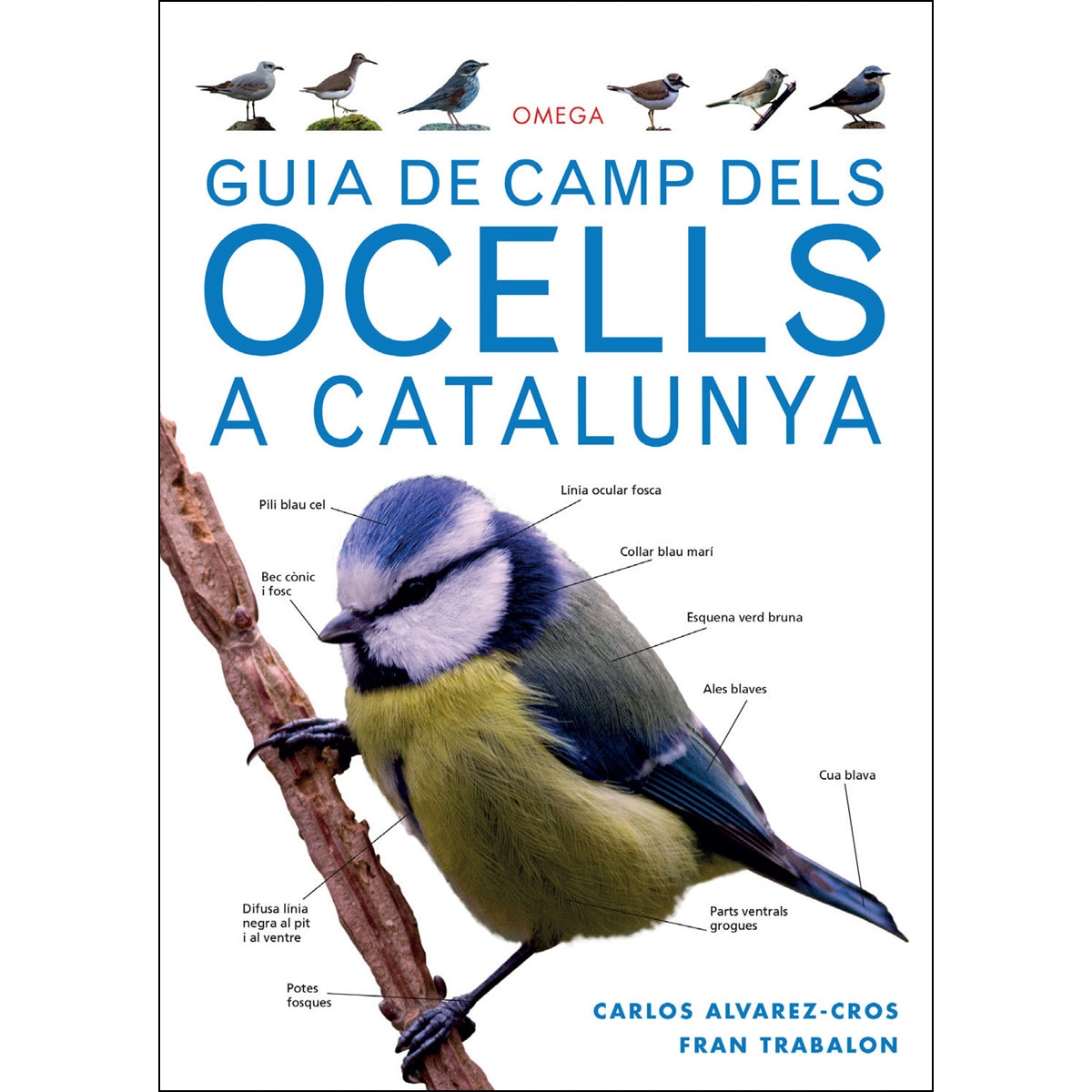 Guía De Camp Dels Ocells A Catalunya 1