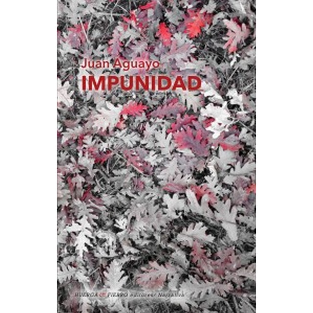 Imagen 0 de Impunidad (Tapa blanda)