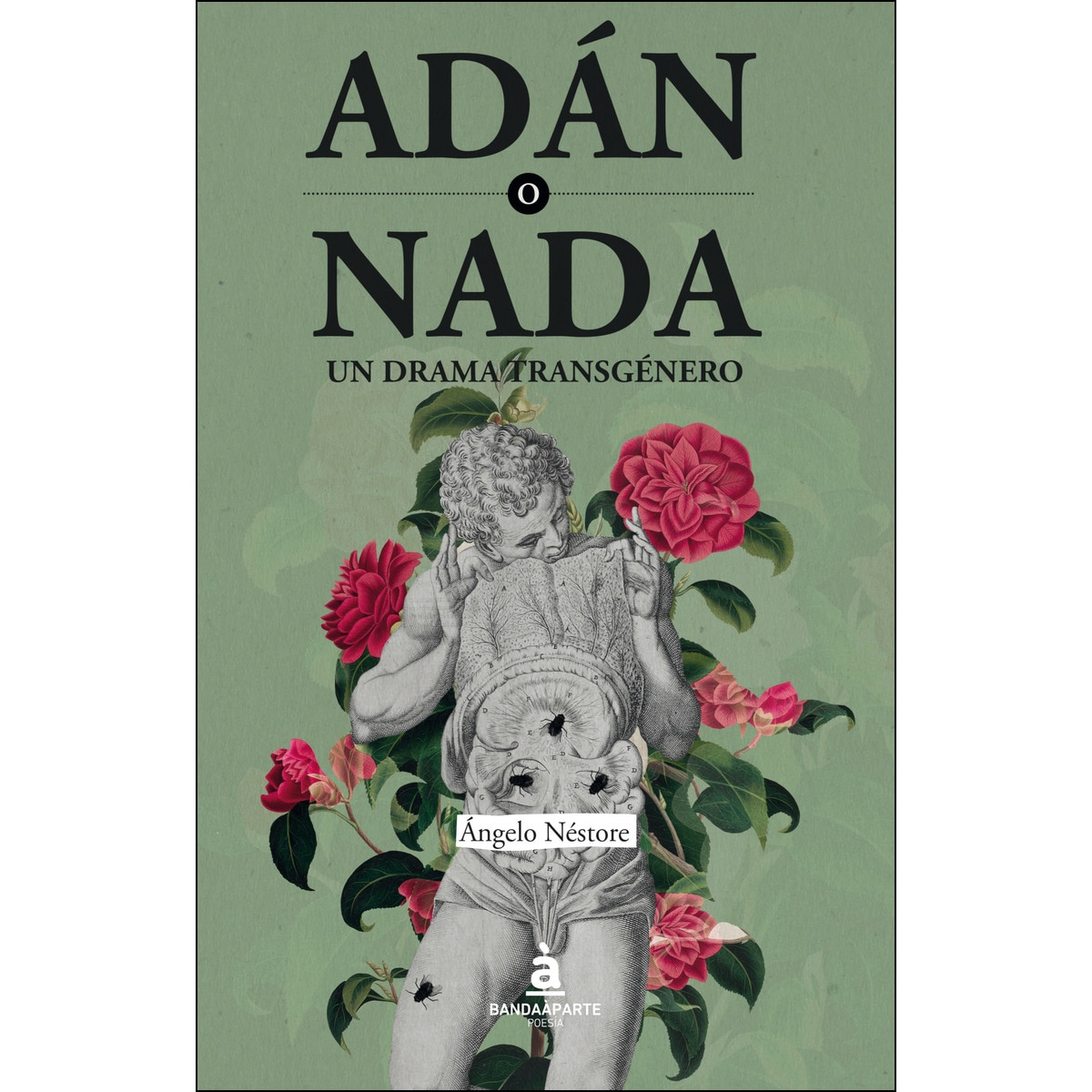 Imagen 0 de Adán o nada. Un drama transgénero.