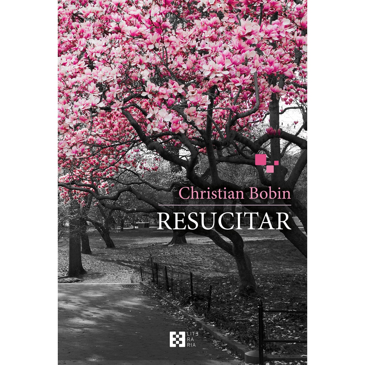 Imagem 0 de Resucitar