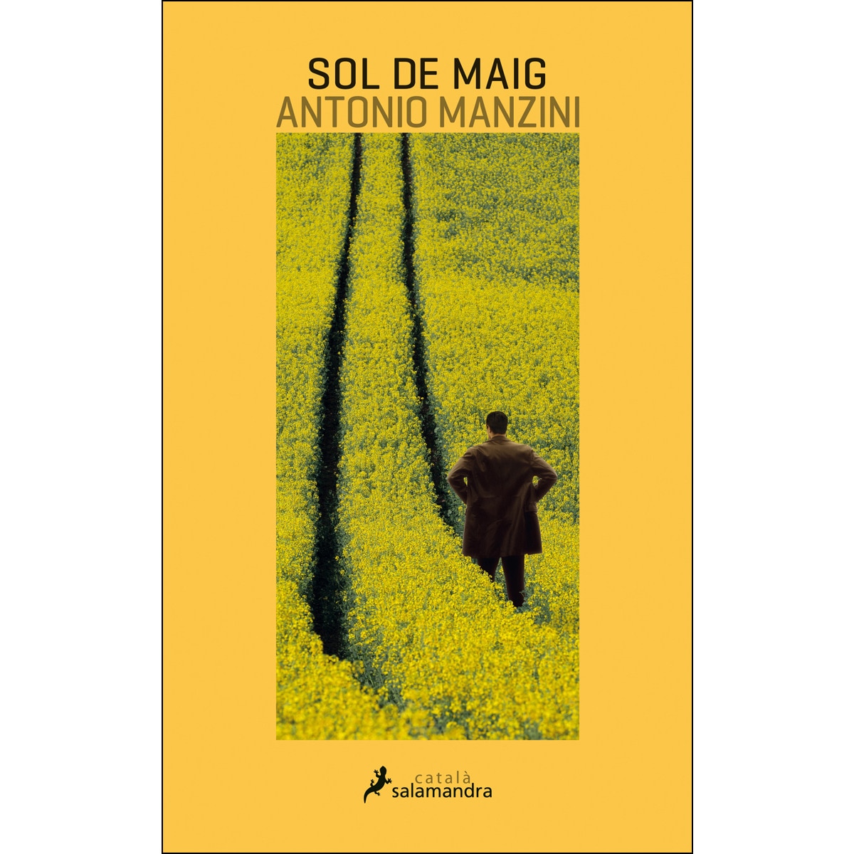 Sol de maig (Viceqüestor Rocco Schiavone 4) (Capa mole) 1