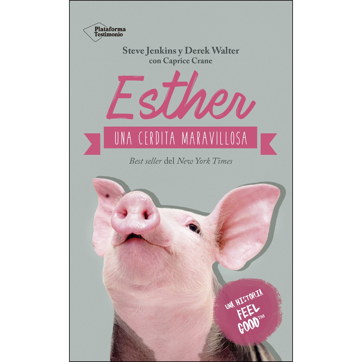 Esther. Una Cerdita Maravillosa 1