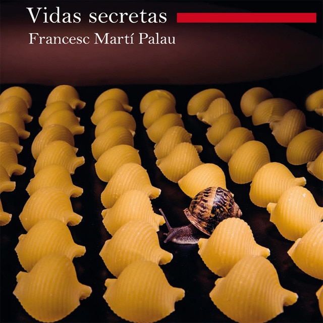 Vidas Secretas 1