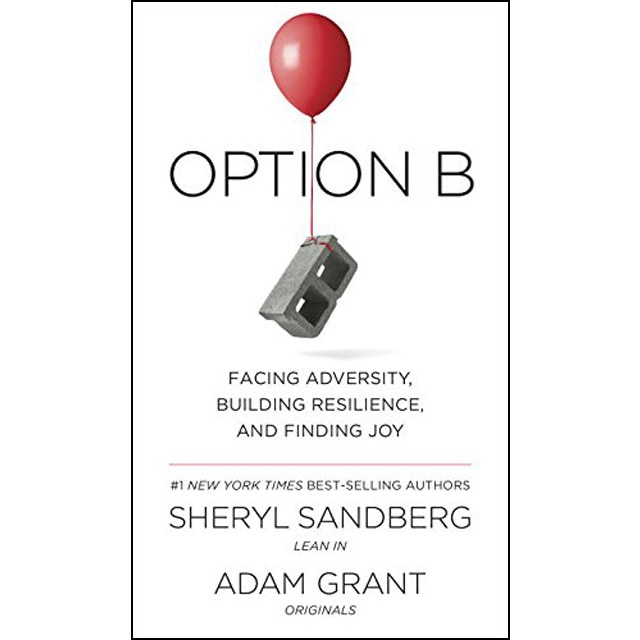 Option B: Facing Adversity Building Resistance And 1