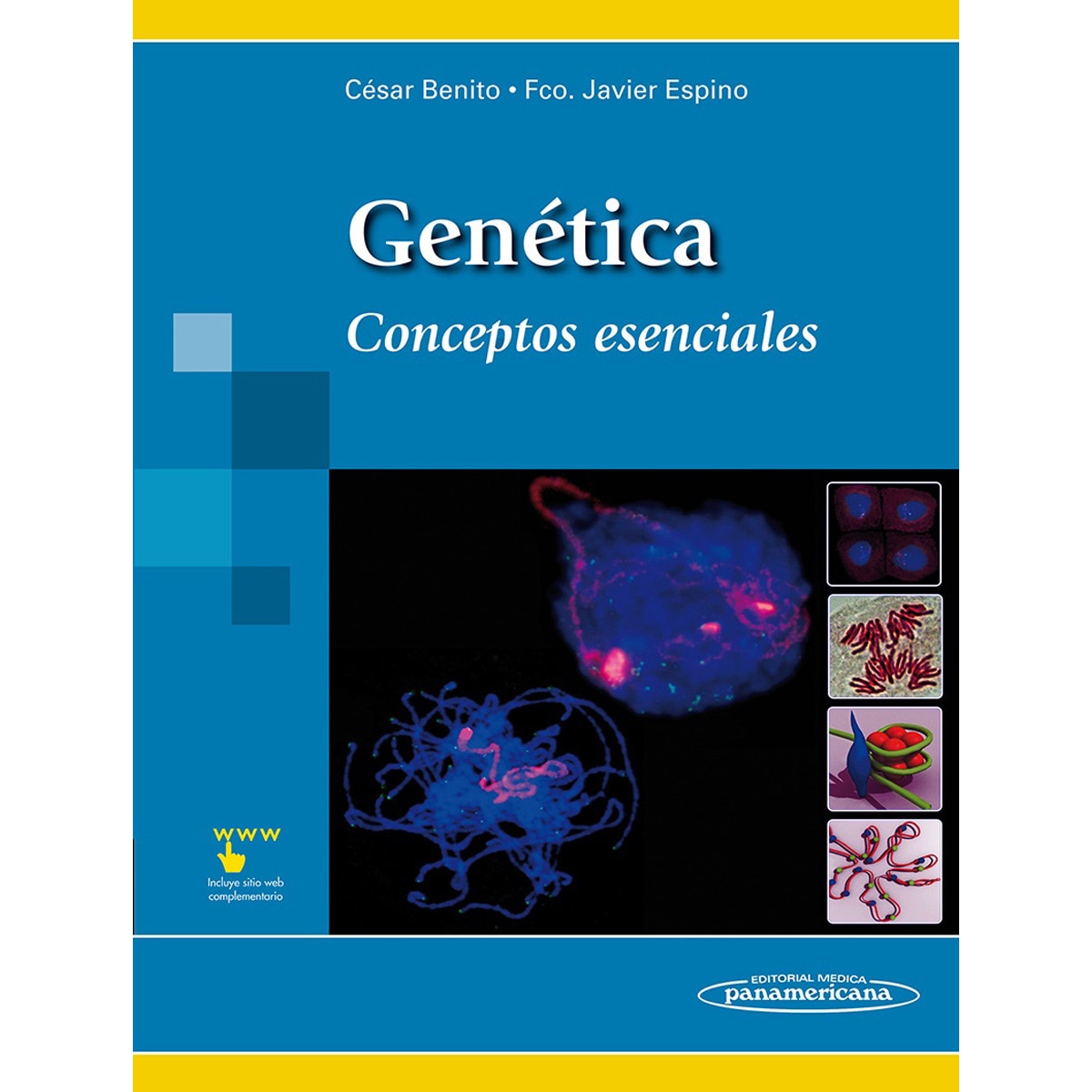 Imagem 0 de GenŽtica. Conceptos Esenciales: Conceptos esenciales (Capa mole)