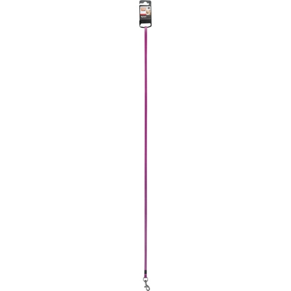 Trela para Cão Nylon Plus Rosa 10 mm x 100 cm unidade 1 unidade