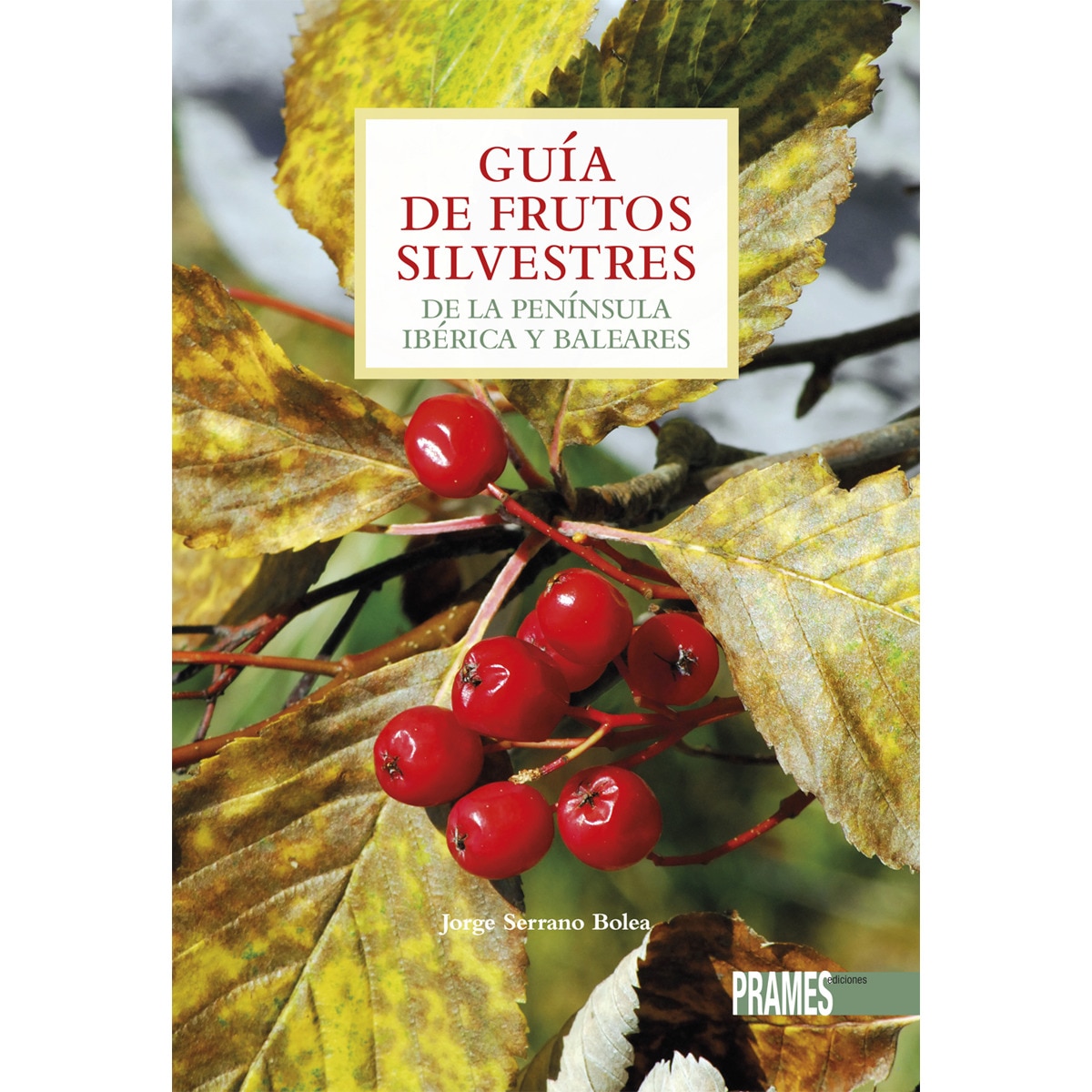 Imagem 0 de Guía De Frutos Silvestres De La Península Y Baleares