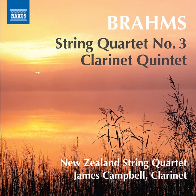 Imagen 0 de Quinteto para clarinete (CD)